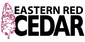 EC Logo